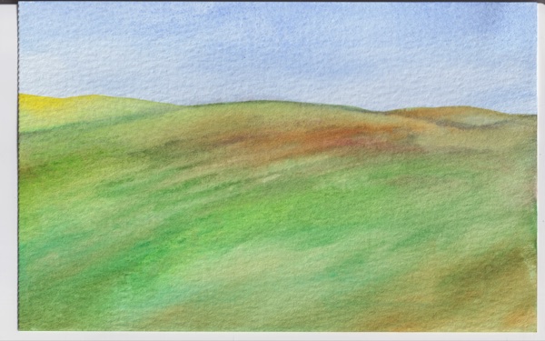 Fields That Forgot the Wind